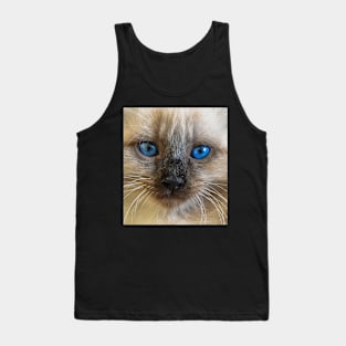 Cat with blue eyes Tank Top